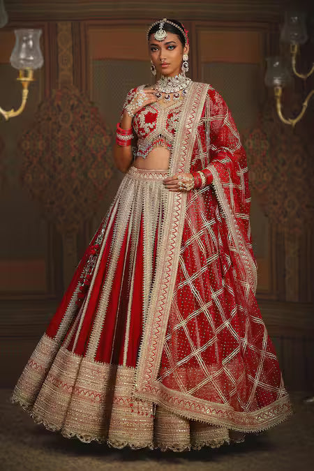 dori embroidered bridal lehenga set