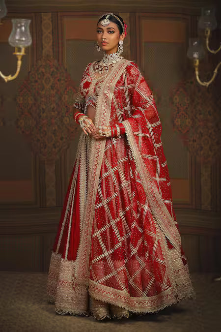 dori embroidered bridal lehenga set