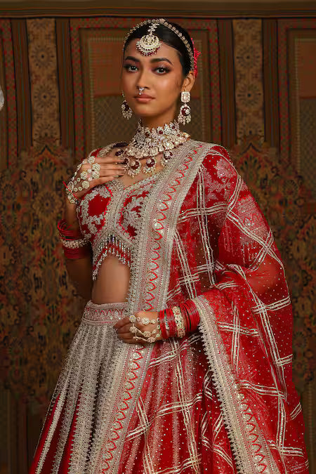 dori embroidered bridal lehenga set