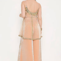 V bridals peach marble tissue net palazzo pant set