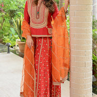 red slub silk patola printed palazzo pant set